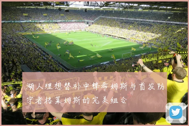 湖人理想替补中锋希姆斯与首发防守者格莱姆斯的完美组合